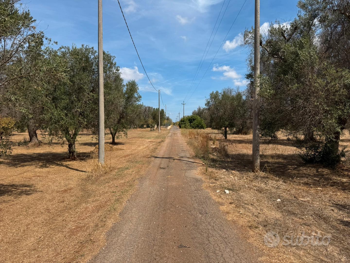Trullo in due lotti edificabili terreno 17.000mq - Altro