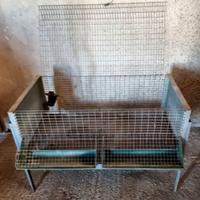 Gabbia per pulcini