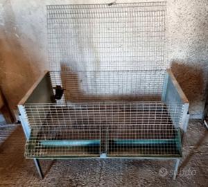 Gabbia per pulcini