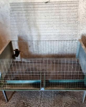 Gabbia per pulcini