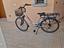 Immagine 6