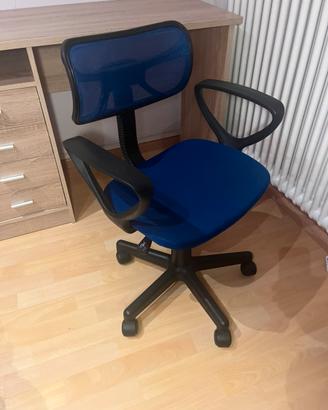 sedia con rotelle