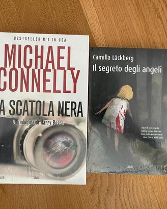 La scatola nera/il segreto degli angeli