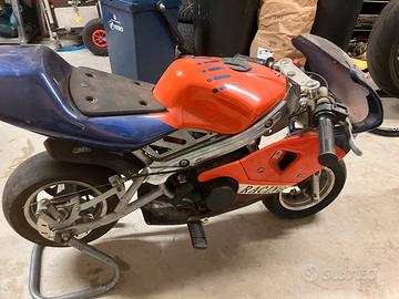 Mini moto