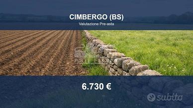 Immobile in asta di 25950 m² a Cimbergo