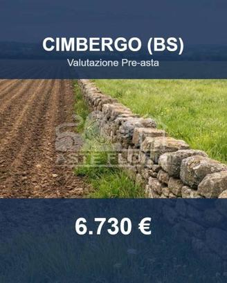 Immobile in asta di 25950 m² a Cimbergo