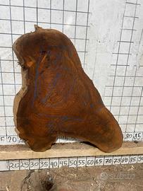Tavole da legno artigianale - Radice di olmo