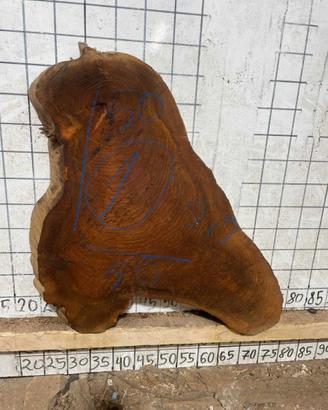 Tavole da legno artigianale - Radice di olmo