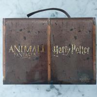  Set Animali fantastici e Harry Potter Esselunga