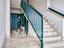 Immagine 25