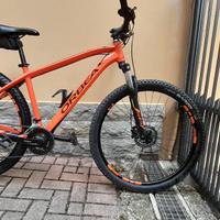 MTB ORBEA MX29