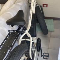 Mountain Bike elettrica