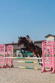 Cavallo