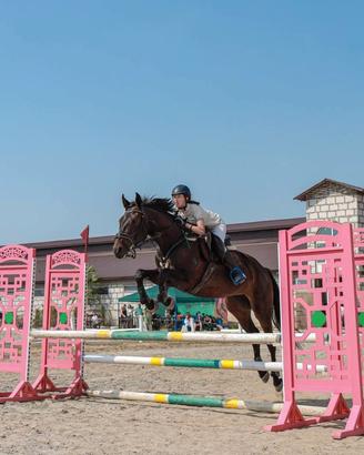 Cavallo
