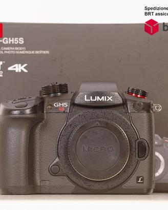 Panasonic Lumix DC-GH5S