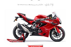TVS RR 310 RR 310
