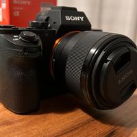 Sony a7 II + Sony 50mm F/1.8 - 10.149 scatti