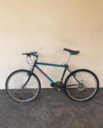 Bici Bianchi montain bike usata
