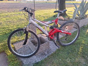 bici da ragazzo 