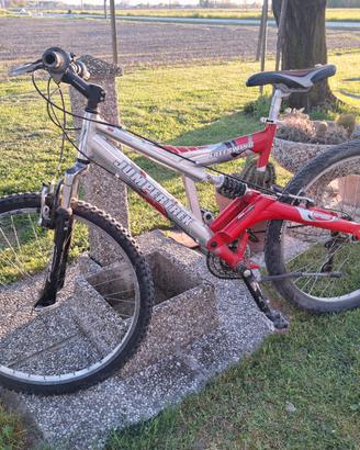 bici da ragazzo 