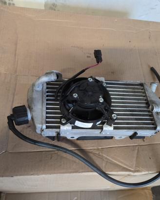 radiatore beta rr 125 4t T