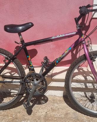 Mountain Bike 24"