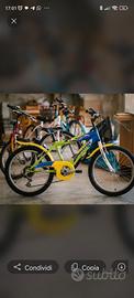Bicicletta 20 pollici
