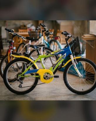 Bicicletta 20 pollici