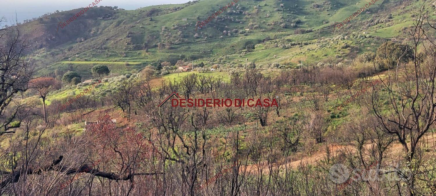 Terreno, Gratteri. - Altro