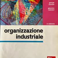 Organizzazione industriale
