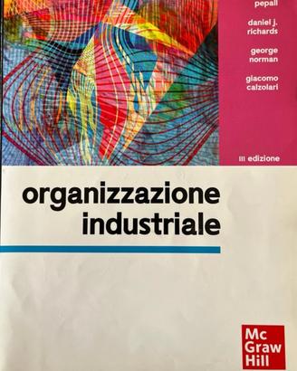 Organizzazione industriale