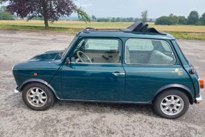 Auto: Mini  ROVER 1995
