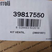 estrattore fumi caldaia ferroli