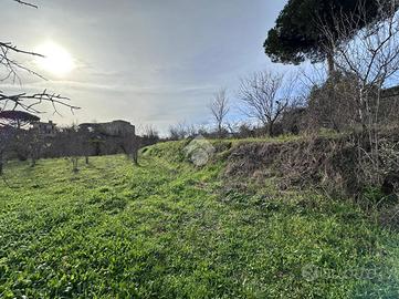 TER. AGRICOLO A NAPOLI