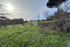 TER. AGRICOLO A NAPOLI