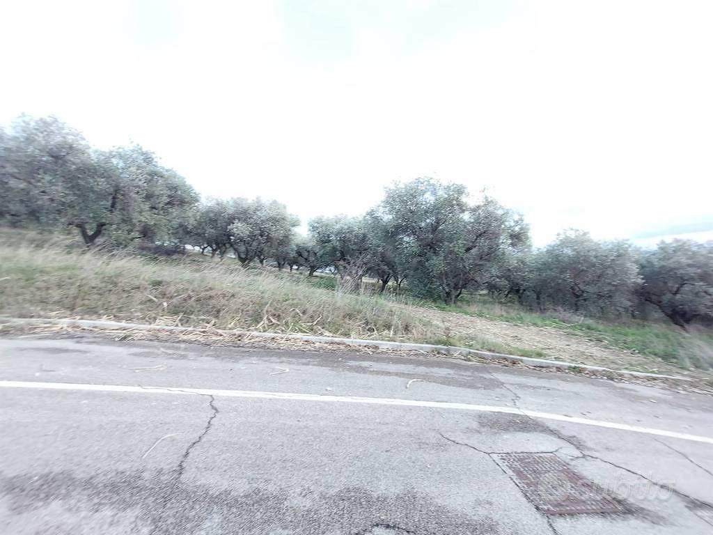 Terreno di 41169 m² a Castel Frentano - Vista 3