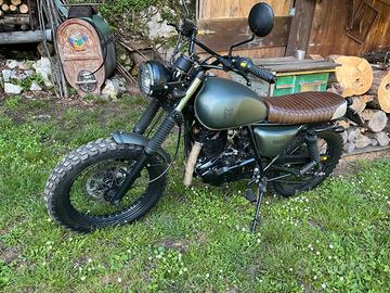 Mutt Hilts 250 - 2019