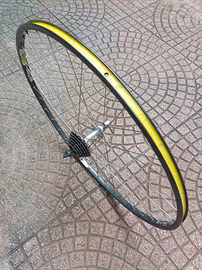 Ruota posteriore mozzo e cerchio Campagnolo