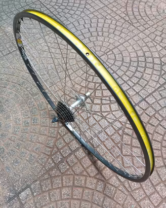 Ruota posteriore mozzo e cerchio Campagnolo
