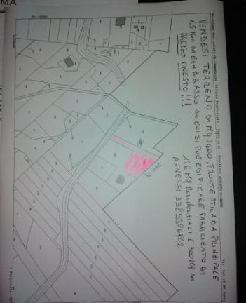 Terreno 1,5km da Campobasso