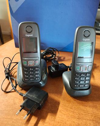 Coppia di telefoni cordless