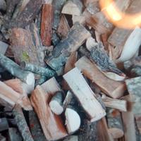 Legna da ardere secca 