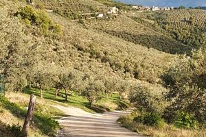 Vendo terreno edificabile