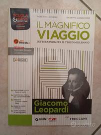 Il magnifico viaggio