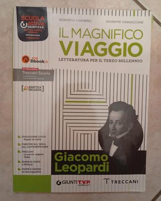 Il magnifico viaggio