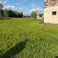 TERRENO AGRICOLO in Località calzamatta