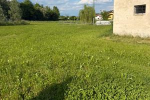 TERRENO AGRICOLO in Località calzamatta