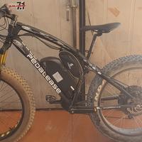 Bicicletta elettrica