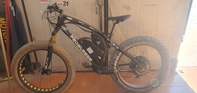 Bicicletta elettrica