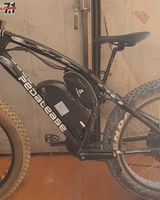 Bicicletta elettrica